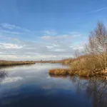 't Brugske